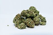 Mail Order Marijuana in Canada: Understanding the Pros and Cons