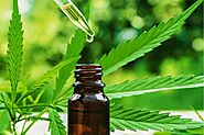 Top 5 THC Tinctures To Buy Online in Canada