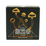 Buy Room 920 Mushroom Chocolate Bar online in Canada