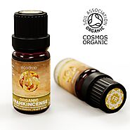 Organic Frankincense Serrata Essential Oil, 10ml | Ecodrop