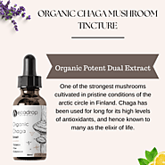 Organic Chaga Mushroom Tincture - EcoDrop Essential Oil