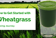 How to Get Started With Wheatgrass Juicing Journey