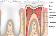 The pandemic has changed the way we deliver dentistry to you.