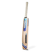 Revolution Cricket Bat