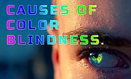 Everything You Need to Know About Color Blindness