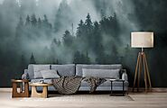 Enhance Your Aura with these Forest and Trees Mural Wallpaper