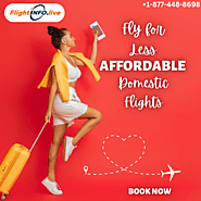 Fly for Less: Your Ultimate Guide to Snagging Affordable Domestic Flights!
