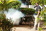 Disinfection and Sanitization Services in the Cayman Islands - Call Pestkil Today!