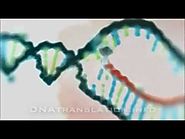 Protein synthesis (DNA transcription, translation and folding)