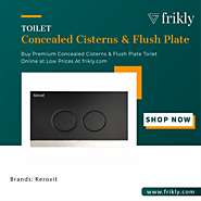 Upgrade Your Bathroom with a Trendy Concealed Cisterns & Flush Plate in india | Frikly