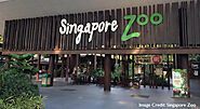 Visiting Singapore Zoo