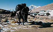 Everest Circuit Trek | 3 high pass with cost and detailed Itinerary