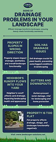 Signs of Drainage Problems in Your Landscape