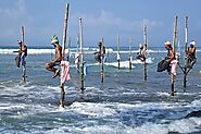 Stilt Fishing