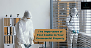 The Importance of Pest Control in your Commercial Property
