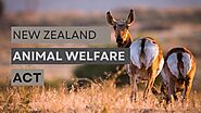 The New Zealand Animal Welfare Act