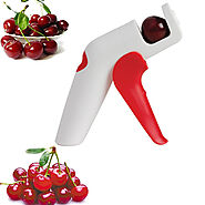 Cherry Pitter Stone | Home and Kitchen Tools - Myriad Essentials