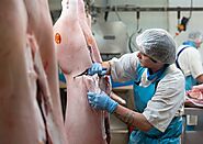 Buy frozen pork meat | Pork meat Manufacturer | Pork Meat Supplier online