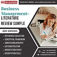 Literature Review Sample Work – PhD Assistance