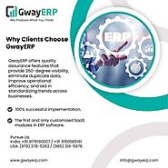 Why clients choose GwayERP