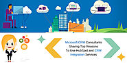 Microsoft CRM Consultants Sharing Top Reasons to Use HubSpot and CRM Integration Services