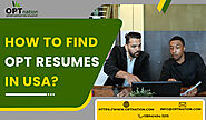 How to Find OPT Candidates And Resumes