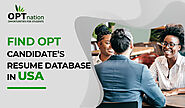 Find OPT Candidates Resume Database In USA