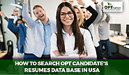 How to Search OPT Candidates Resumes Database USA?