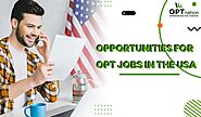 Opportunities For OPT Jobs In The USA