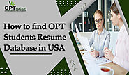 How to find OPT Student’s Resumes Database in USA