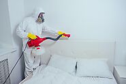 Effective Bed Bug Pest Control In Melbourne By Expert