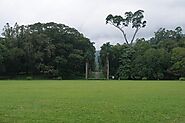 Peradeniya Botanical Garden