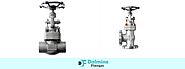 High Quality Globe Valves Manufacturer, Supplier and Exporter in India - Dalmine Flanges