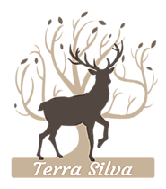 Blog de Terra Silva - Produits biologiques et écoresponsables – SilvEarth