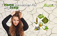 9 Best Home Remedies For Dry Scalp - Put A Leash On Itching And Flakiness