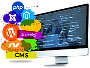 Choosing Between Custom Vs Open Source WordPress Website Development Services