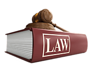 Are You Looking for Civil and Criminal Litigation Cases Solutions | Amicus Publico