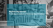 Big Data Big Interest: Profit Maximization or Revenue Maximization?