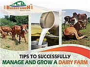 Tips to successfully manage and grow a dairy farm - Bharatvarsh Nature Farms