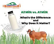 A2 Milk vs. A1 Milk: What’s the Difference and Why Does It Matter?