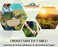 From Farm to Table: Exploring the Beauty and Bounty of Agritourism in Nagpur