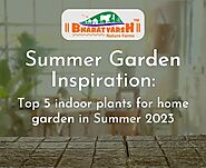 Home Garden Inspiration: Top 5 indoor plants for summer 2023