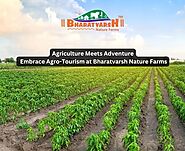Agriculture Meets Adventure: Embrace Agro-Tourism at Bharatvarsh Nature Farms!