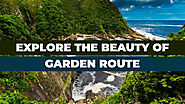 Discover the Natural Beauty of South Africa's Garden Route