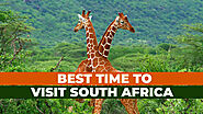 Discover the Best Time to Visit South Africa