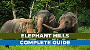 Elephant Hills, Thailand: A Complete Travel Guide