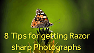 8tips for getting razor-sharp photographs - Abdul Photography