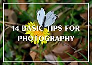 14 basic tips for photography - Abdul Photography