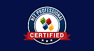 Certified NFT Professional (CNFTP) - 101 Blockchains