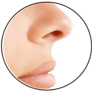 Rhinoplasty Costs Need To Be Understood To Make A Wise Decision